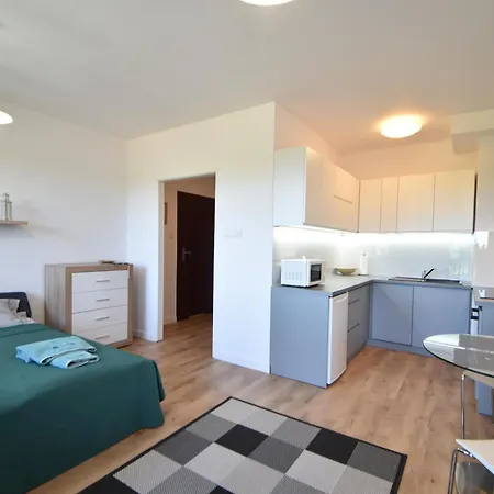 City Dwor Apartament * גדנסק