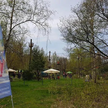 City Dwor Apartament Apartament