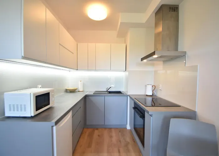 City Dwor Apartament * גדנסק