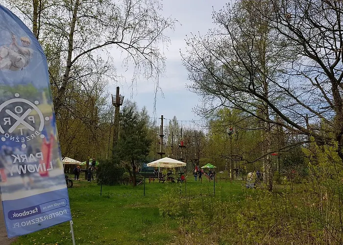 City Dwor Apartament דירה